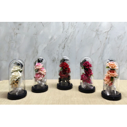 Işıklı Müzikli Cam Fanus İçinde Romantik Gül  Alk5004