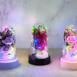 Işıklı Müzikli Romantik Fanus Tekli Gül Alk5007