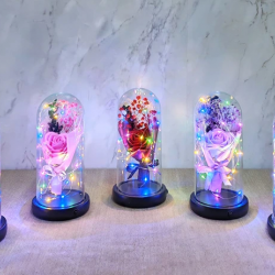 Işıklı  Müzkli Dekoratif Cam Fanus İçinde Gül Alk5005