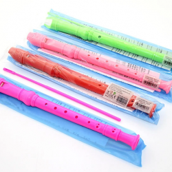 Renkli Plastik Flüt Alk2135