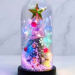 Yılbaşı Temalı Işıklı  Dekoratif Cam Fanus Alk5082